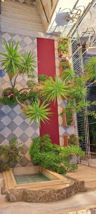 Appartement Finestre Sul Teatro - Catania - Parking Included Extérieur photo
